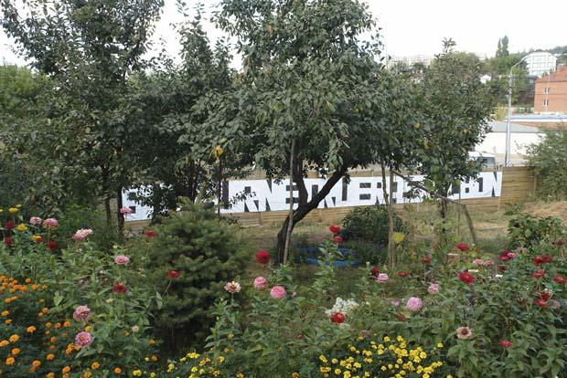 �������,��� ����� ���������,�������� 2010

