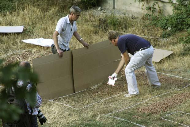 �������,��� ����� ���������,�������� 2010

