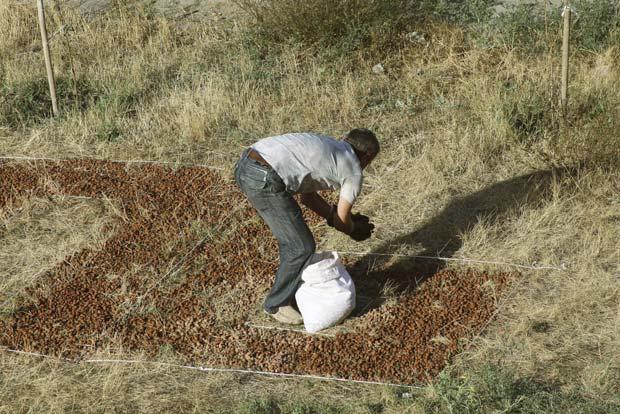 �������,��� ����� ���������,�������� 2010

