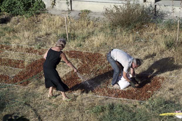 �������,��� ����� ���������,�������� 2010

