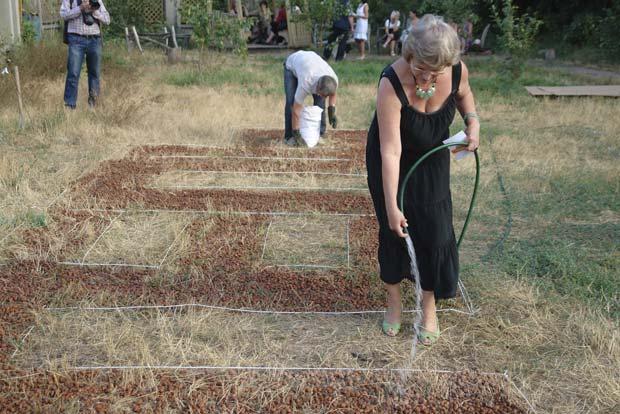 �������,��� ����� ���������,�������� 2010

