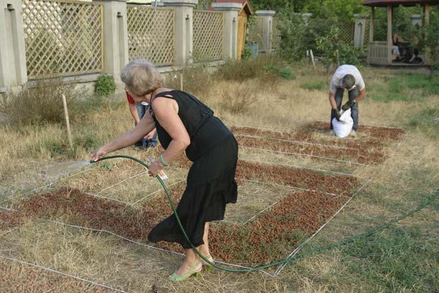 �������,��� ����� ���������,�������� 2010

