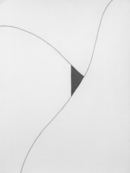 

������ ������� ��������� ������ �� ����� ������������ �������


